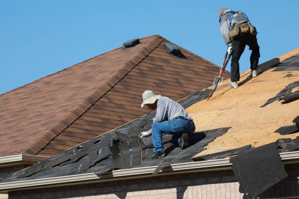 Best Tile Roofing Installation  in Olive Branch, MS