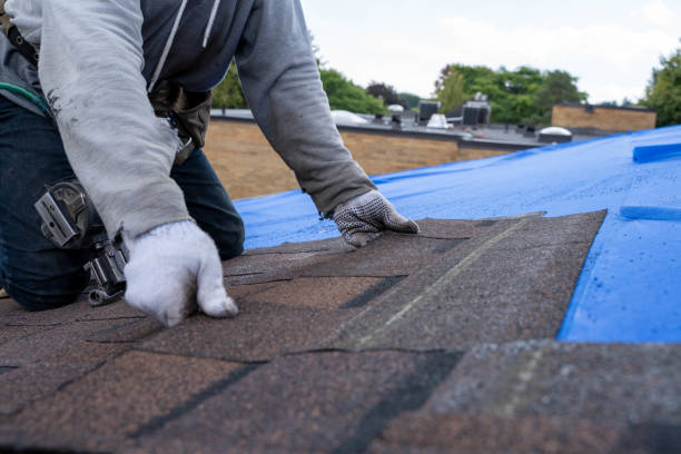 Best Roof Insulation Installation  in Olive Branch, MS