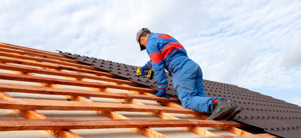 Best Roof Ventilation Installation  in Olive Branch, MS