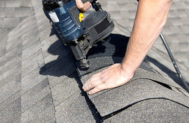 Best Roof Maintenance and Cleaning  in Olive Branch, MS